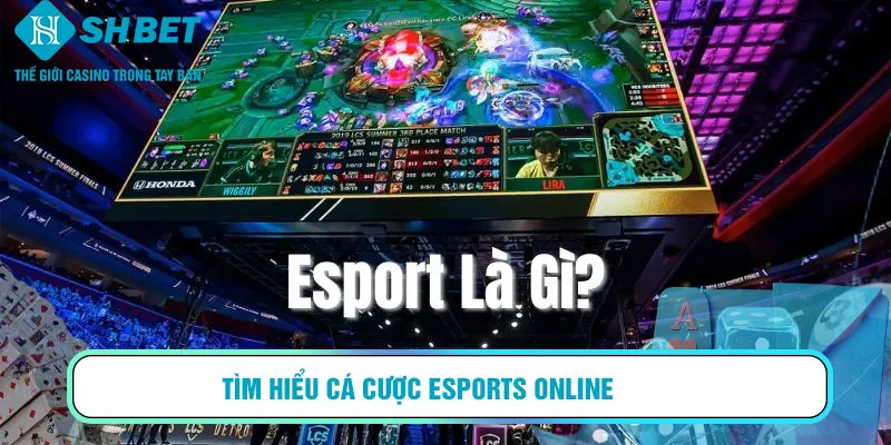 Tìm hiểu cá cược Esports online